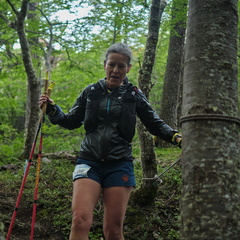 Foto: Andrés Fuentes