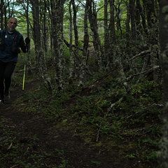 Foto: Andrés Fuentes