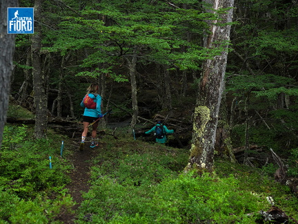 Foto: Andrés Fuentes