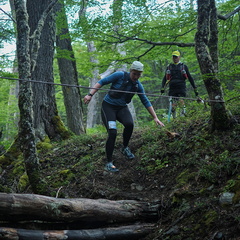 Foto: Andrés Fuentes