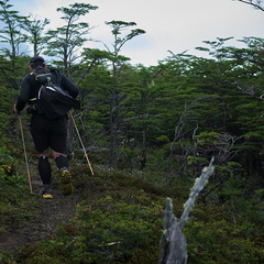 Foto: Andrés Fuentes