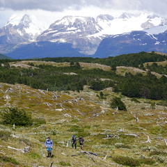 Foto: Stjepan Pavicic