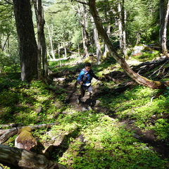 Foto: Stjepan Pavicic