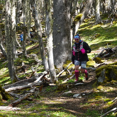 Foto: Stjepan Pavicic