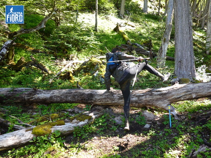 Foto: Stjepan Pavicic