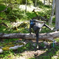 futf2402stpaDSC08794.jpg