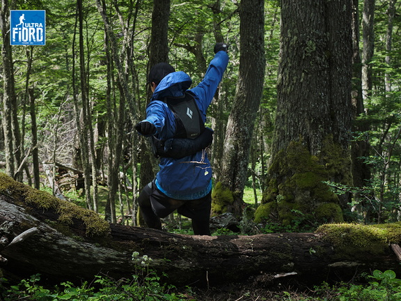 Foto: Andrés Fuentes