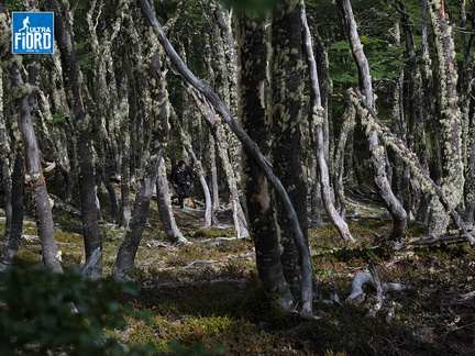 Foto: Andrés Fuentes