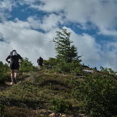 Foto: Andrés Fuentes