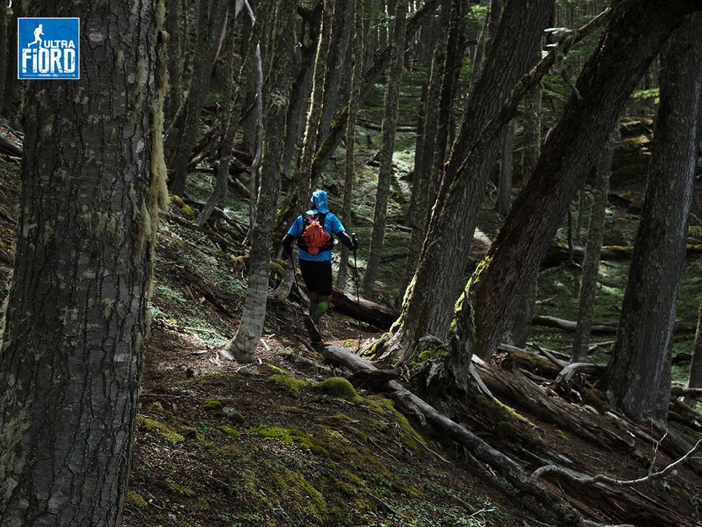 Foto: Andrés Fuentes