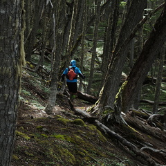 Foto: Andrés Fuentes