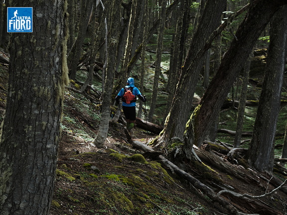Foto: Andrés Fuentes