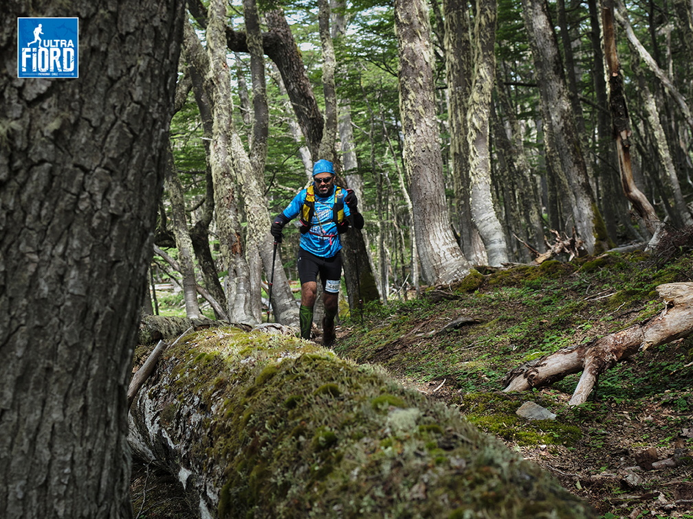 Foto: Andrés Fuentes