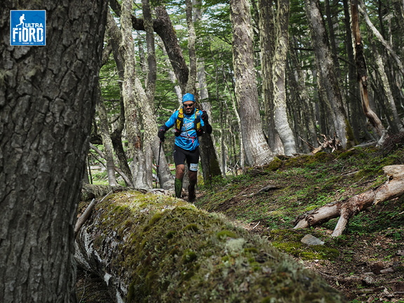Foto: Andrés Fuentes