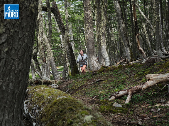 Foto: Andrés Fuentes