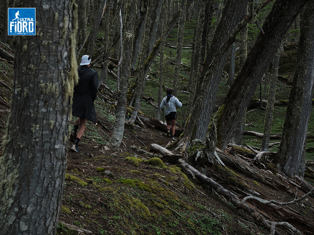 Foto: Andrés Fuentes
