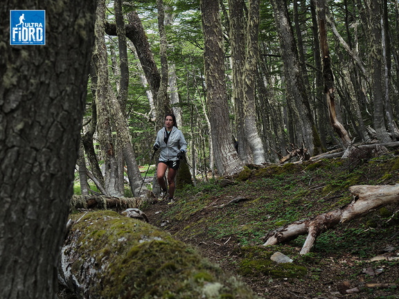 Foto: Andrés Fuentes