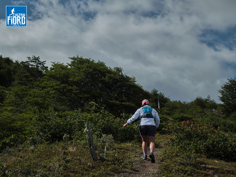 Foto: Andrés Fuentes