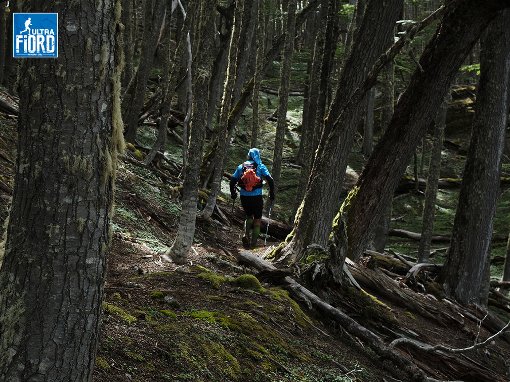 Foto: Andrés Fuentes