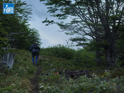 Foto: Andrés Fuentes