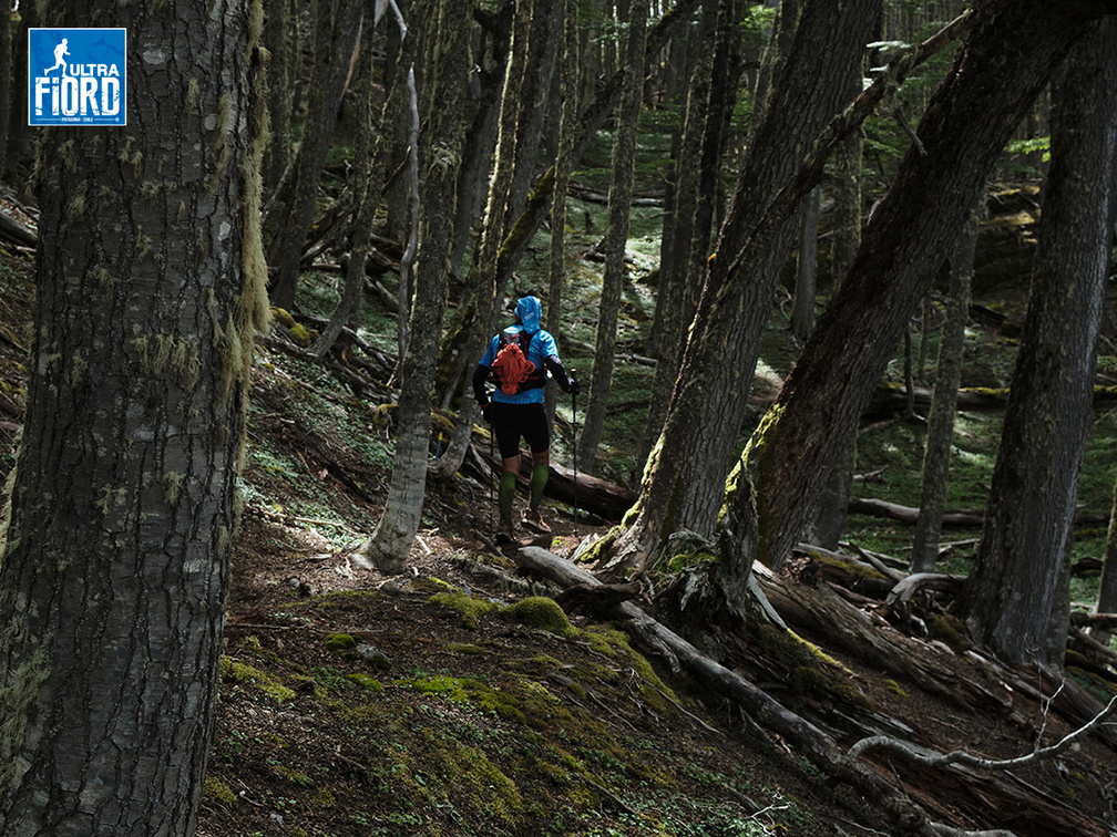 Foto: Andrés Fuentes