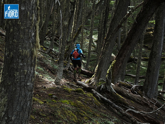 Foto: Andrés Fuentes