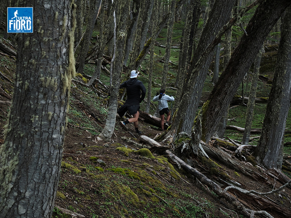 Foto: Andrés Fuentes