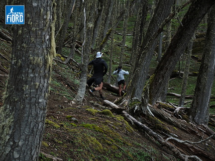 Foto: Andrés Fuentes
