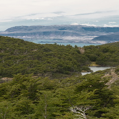 Foto: Lorena González