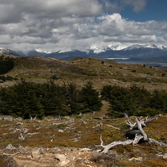 Foto: Lorena González