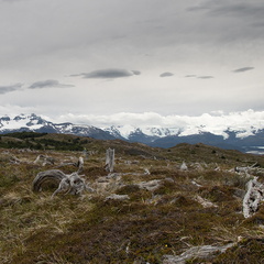 Foto: Lorena González