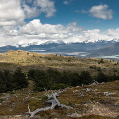 Foto: Lorena González