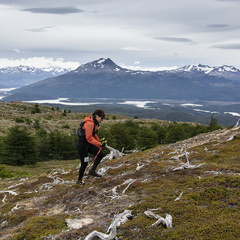 Foto: Patricia Ainol