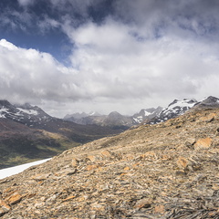 Foto: Eduardo Hernández