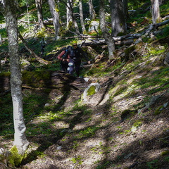 Foto: Stjepan Pavicic