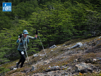 Foto: Andrés Fuentes