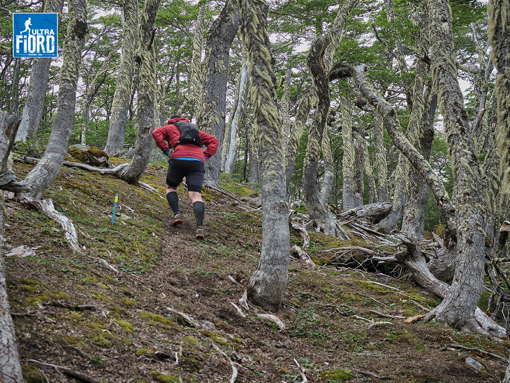 Foto: Andrés Fuentes