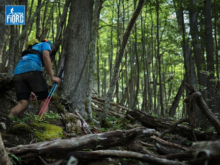 Foto: Andrés Fuentes