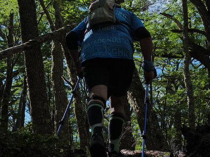 Foto: Andrés Fuentes