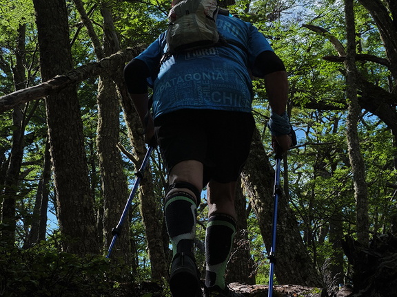 Foto: Andrés Fuentes