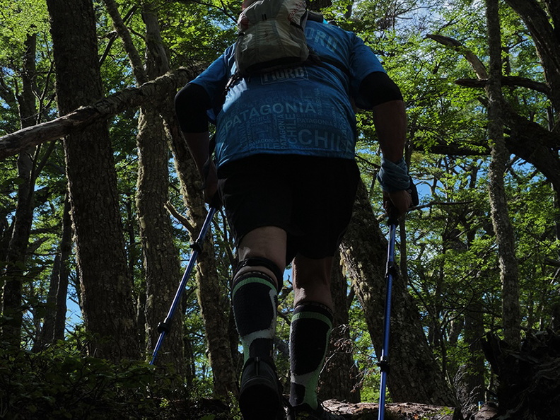 Foto: Andrés Fuentes