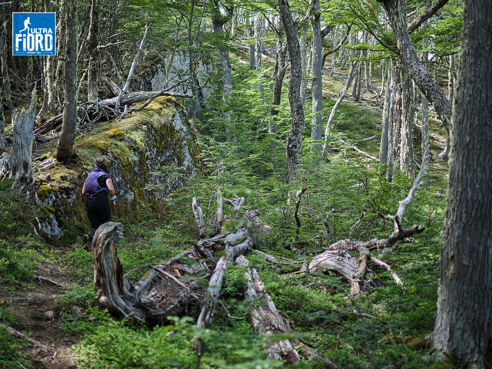 Foto: Andrés Fuentes