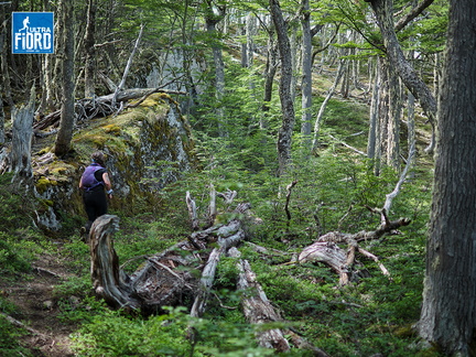 Foto: Andrés Fuentes