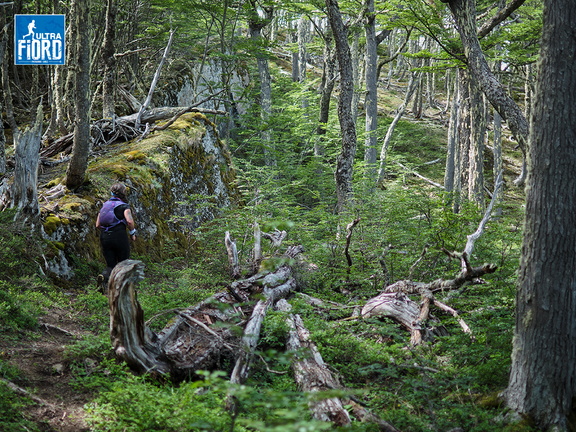 Foto: Andrés Fuentes