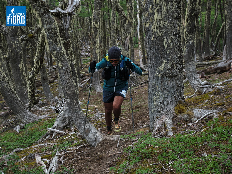 Foto: Andrés Fuentes