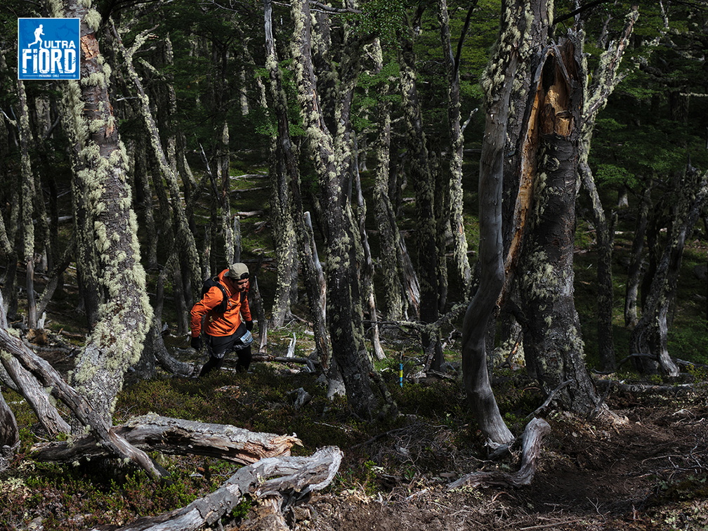 Foto: Andrés Fuentes