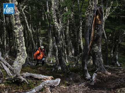 Foto: Andrés Fuentes
