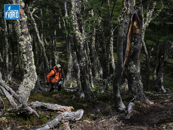 Foto: Andrés Fuentes