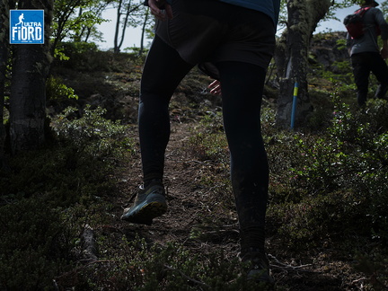 Foto: Andrés Fuentes