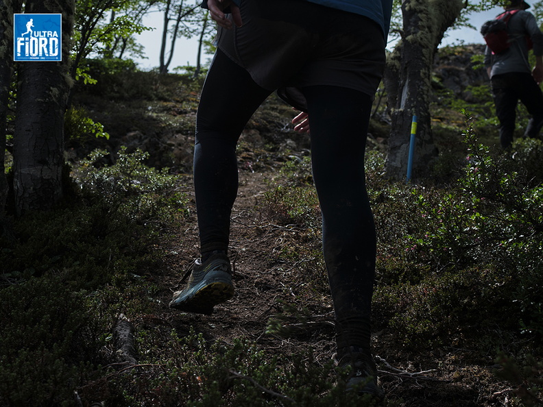 Foto: Andrés Fuentes